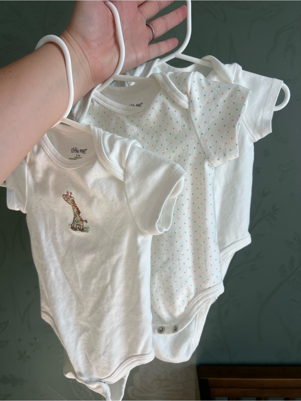 3 Pack of Little Me Short Sleeve Bodysuits